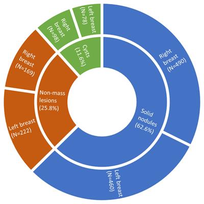 Evaluating the features of breast lesions identified by bimodal breast examination: a real-world study